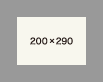 200×290
